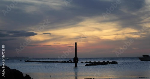 Atardecer Caribeño - Aves V