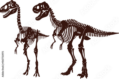 Two Dinosaur Skeletons in Brown on a White Background