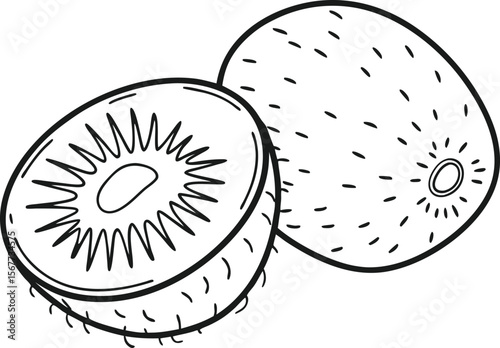 Hand drawn kiwi fruit illustration whole and sliced black and white