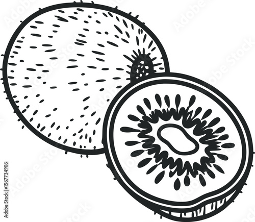 Hand Drawn Kiwi Fruit Illustration with Slice in Black and White