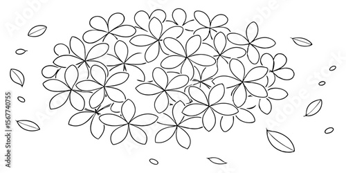Vector art of a cluster of delicate flowers and scattered leaves drawn in simple black outline on white background