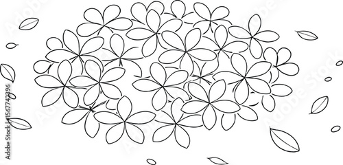 Vector art of a cluster of delicate flowers and scattered leaves drawn in simple black outline on white background