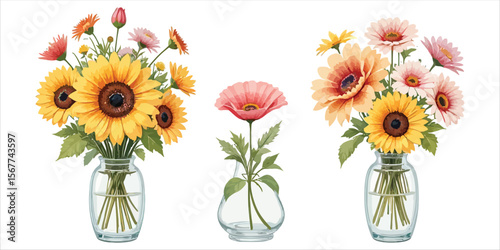 Three glass vases filled with colorful blooming sunflowers and daisies on white background