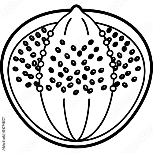 Chia seeds line art vector