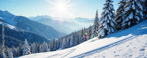 Sun-Drenched Ski Slope in a Pristine Winter Wonderland Towering Pines Cast Long Shadows Across a Lush Evergreen Forest, Perfect for Winter Sports and Travel Marketing