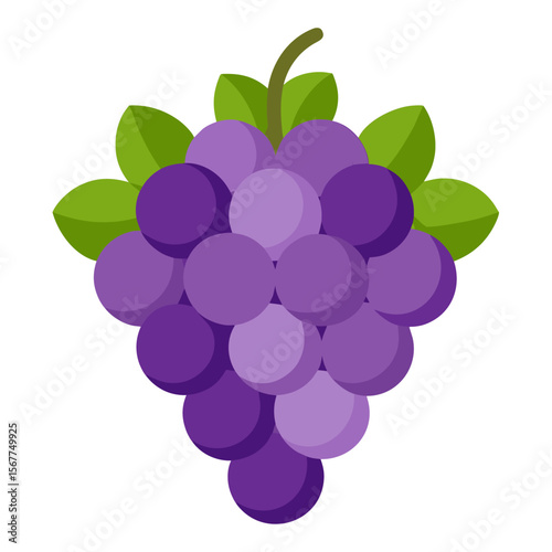 bunch of grapes