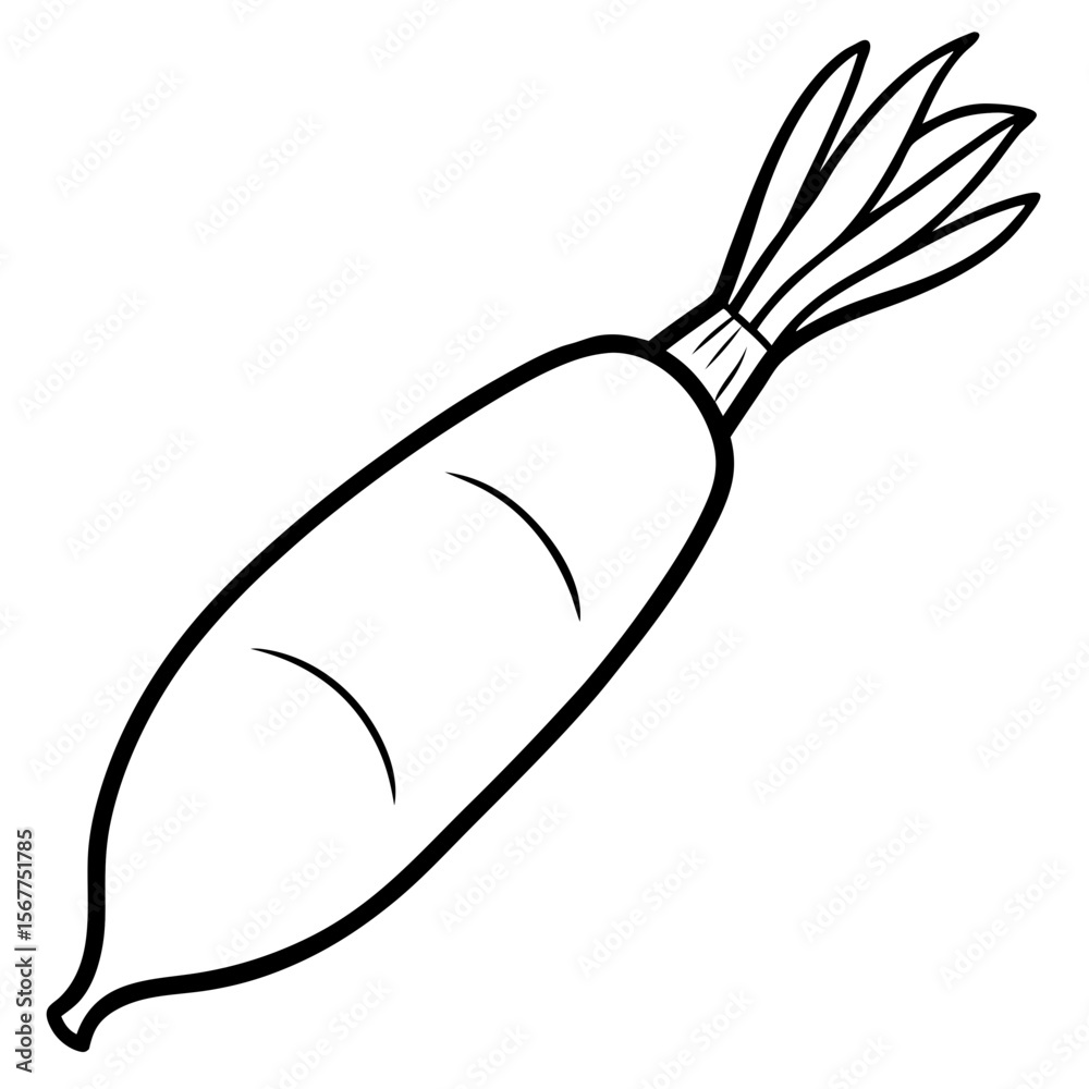 Obraz premium Daikon radish line art vector