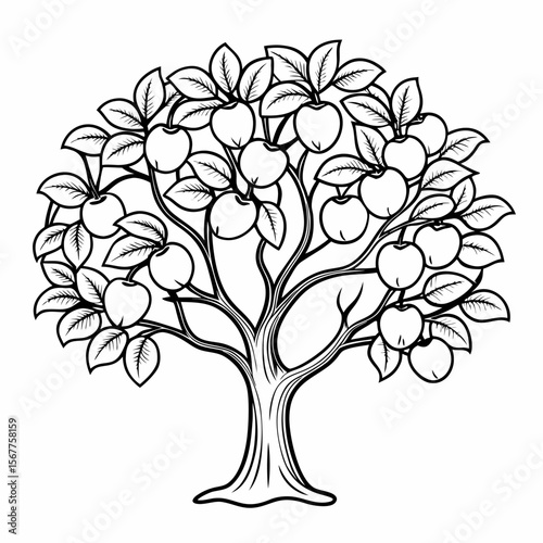 plum tree line art