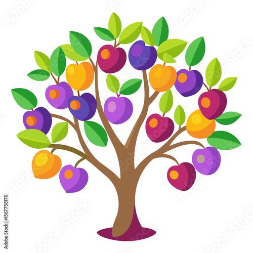 plum tree with plum