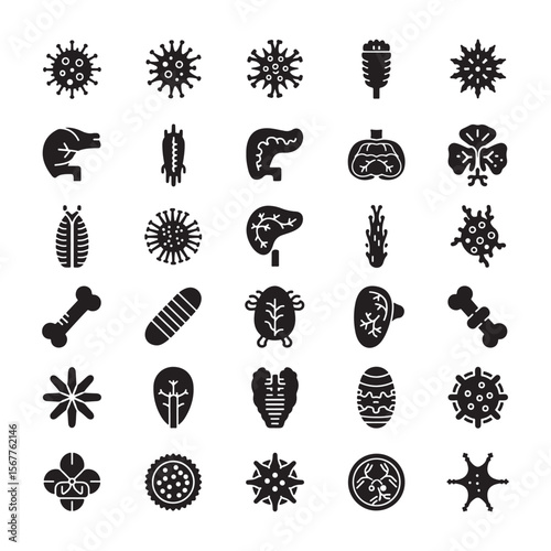 Collection of Black Silhouettes of Various Viruses Bacteria Organs and Flowers Medical Science Biology Botany Set of Glyph Icons