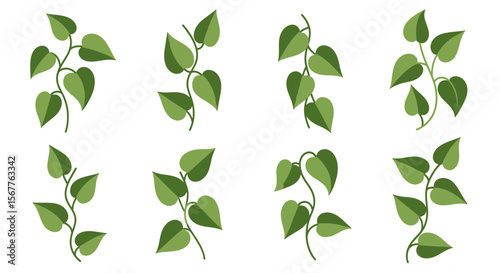 Heart shaped leaves on branches
