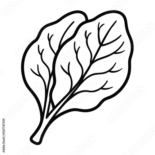 Fresh spinach leaves isolated on a clean white background for healthy eating