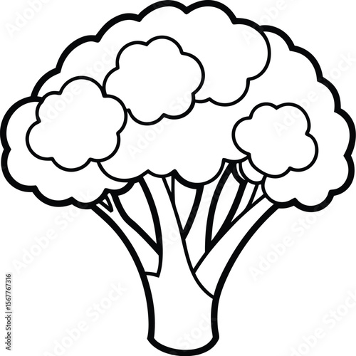 Fresh broccoli vegetable isolated on a clean white background for healthy eating