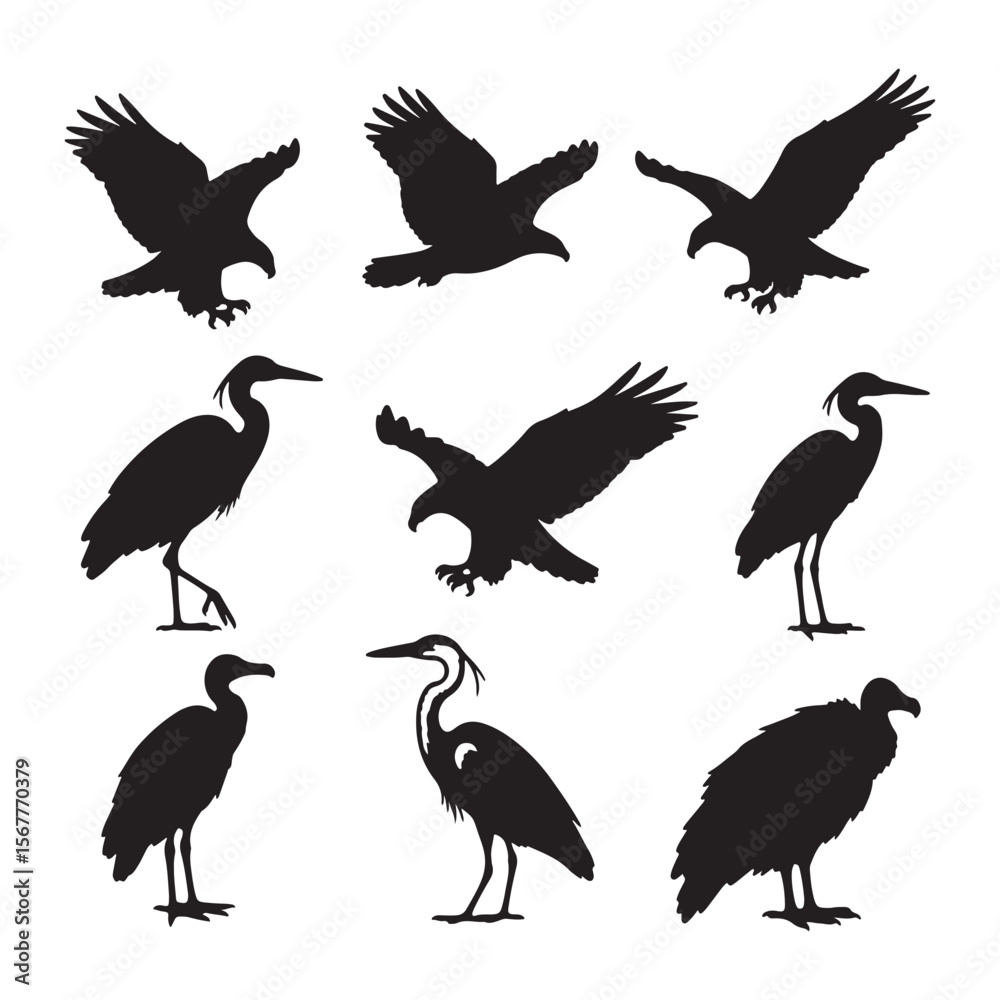 Obraz premium Collection of Nine Black Silhouettes of Birds Eagles Herons and a Vulture on White Background Bird Silhouettes Set Wildlife Vector Graphic