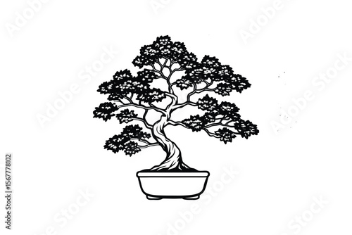 Elegant Bonsai Tree in Pot Graphic Illustration Silhouette