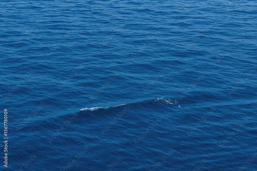 Fototapeta premium Calm turquoise waters with gentle surf