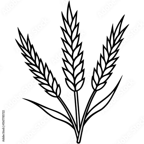 Heather line art vector