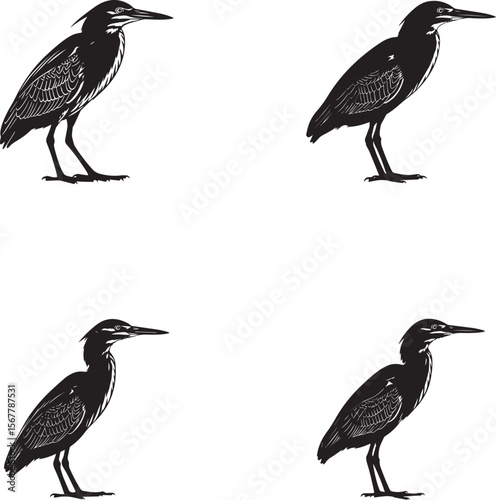 Golden Plover Silhouettes