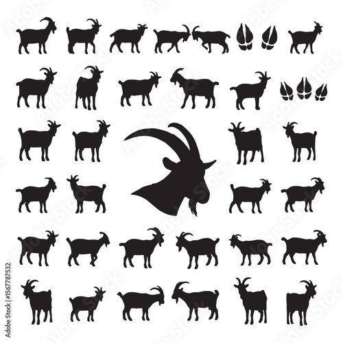 Black goat silhouettes and hoof prints animal