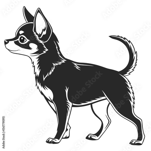 Juvenile Long Coat Chihuahua Silhouette Vector