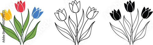 Vector art of a colorful tulip bouquet and black and white tulip outlines isolated on white background