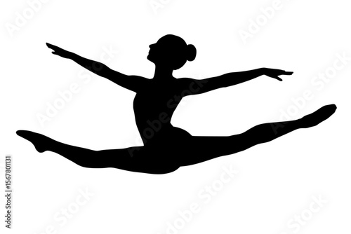 Silhouette of a Dancer in Mid-Leap
