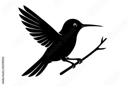 Silhouette of a Bird in Flight on a Branch