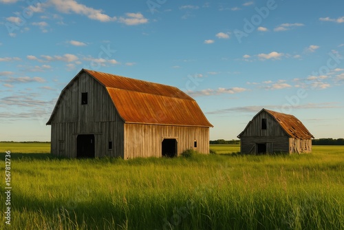 Derelict agricultural buildings in rural areas