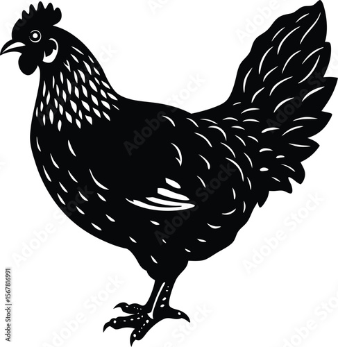 Free range chicken silhouette graphic design element for farm and food concepts