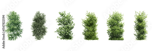 Green Trees Side View Illustration Set. Landscape Architecture And Environmental Design Collection. Isolated Vector Illustration