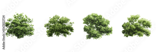 Green Trees Digital Side View Illustration Set. Landscape Architecture And Eco-Design Element Collection. Isolated Vector Illustration