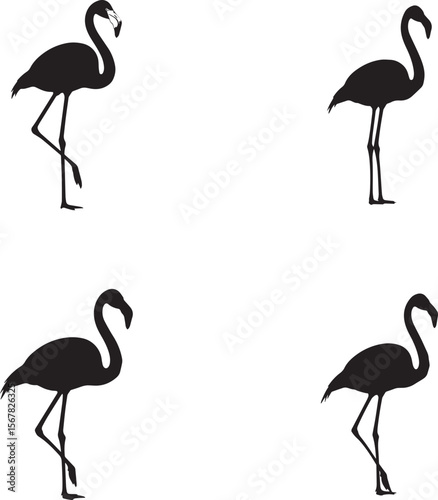 Greater Flamingo Silhouettes