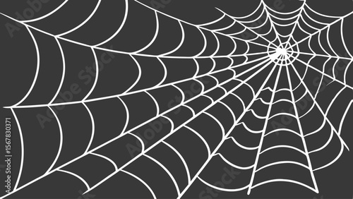Vector art of abstract spiderweb pattern with white lines on a dark gray background