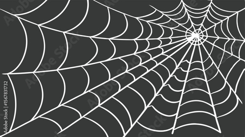 Vector art of abstract spiderweb pattern with white lines on a dark gray background