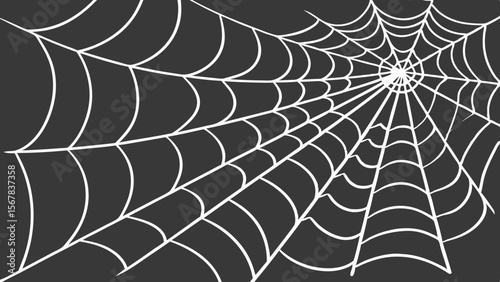 Vector art of abstract spiderweb pattern with white lines on a dark gray background