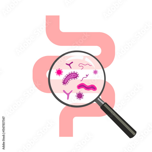 Gut flora or digestive tract microorganism diagnosis tiny person concept. Medical stomach inspection by gastroenterologist doctor for patient with bowel or intestine canal problems vector illustration