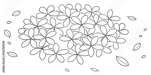 Vector art of a cluster of delicate flowers and scattered leaves drawn in simple black outline on white background