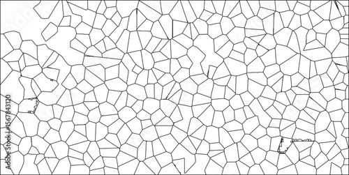 Abstract cellular pattern illustration in vector format featuring polygonal shapes and geometric lines displaying a complex and intricate mosaic for modern design