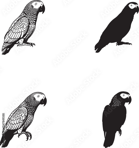 Grey Parrot Silhouettes