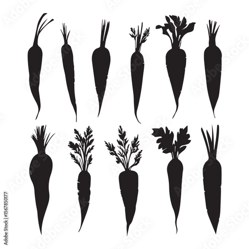 set of silhouettes of carrots