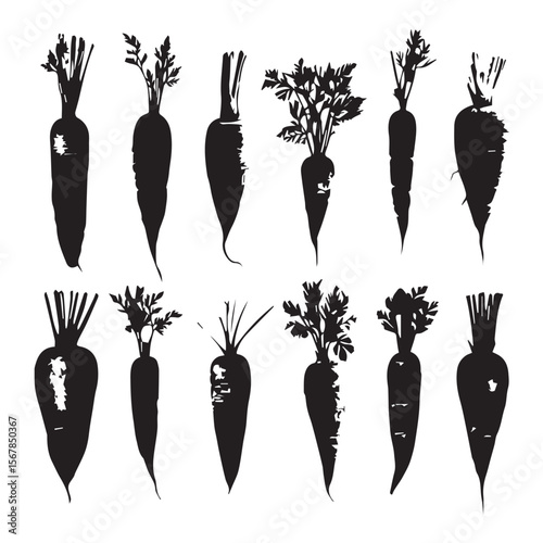 set of silhouettes of carrots