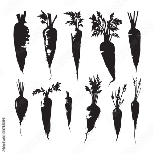 set of silhouettes of carrots
