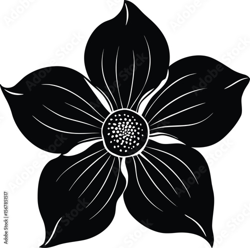 dogwood flower on white background.eps