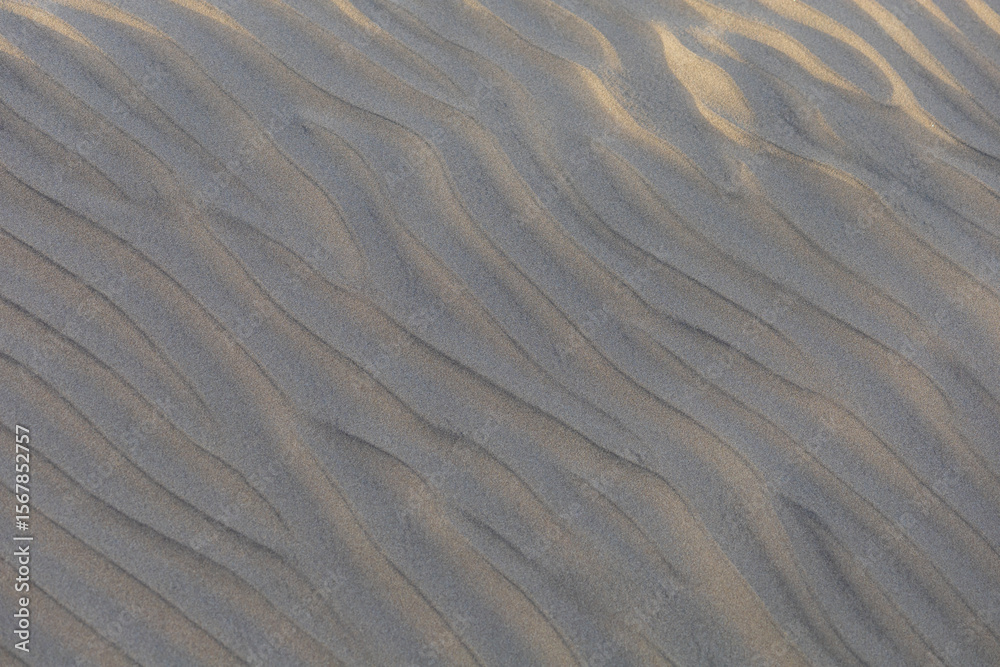 Obraz premium Sand dunes in the Maspalomas area of Gran Canaria Spain