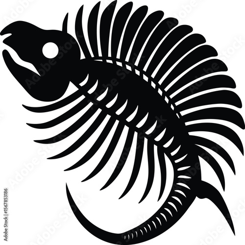 fossil on white background.eps