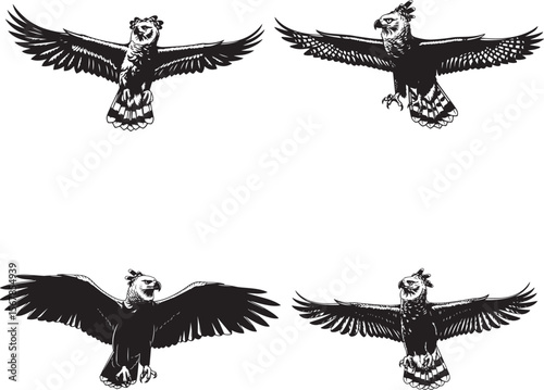  Harpy Eagle Silhouette