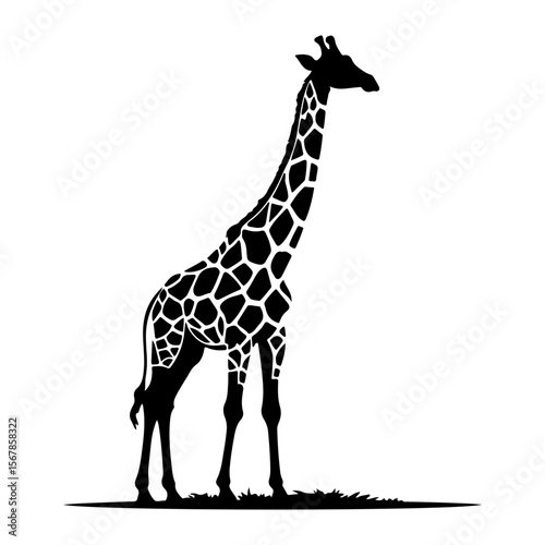Elegant Silhouette of a Giraffe Grazing in a Natural Environment