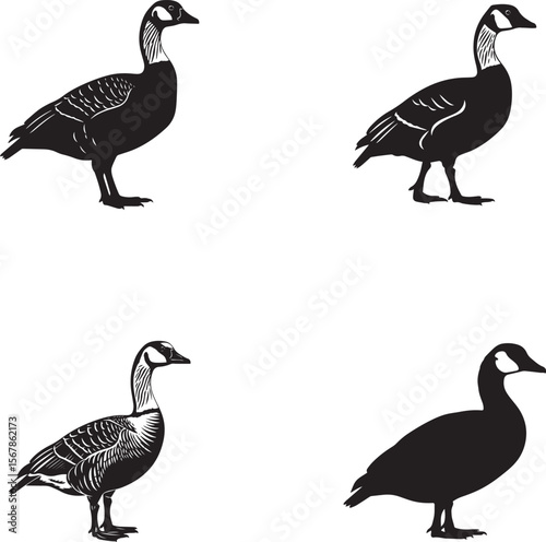 Hawaiian Goose Silhouettes