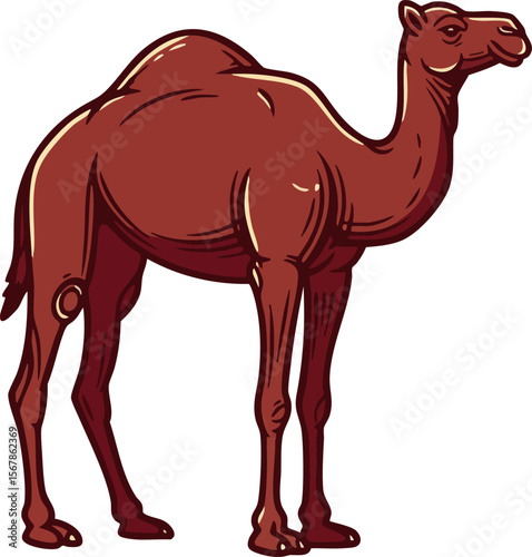 Brown camel standing animal wildlife desert mammal vector illustration 