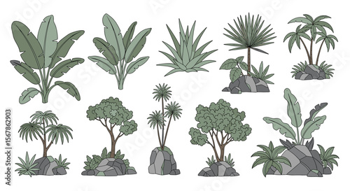 Collection of diverse tropical plants and exotic greenery clipart featuring various trees shrubs and leafy foliage ideal for nature designs